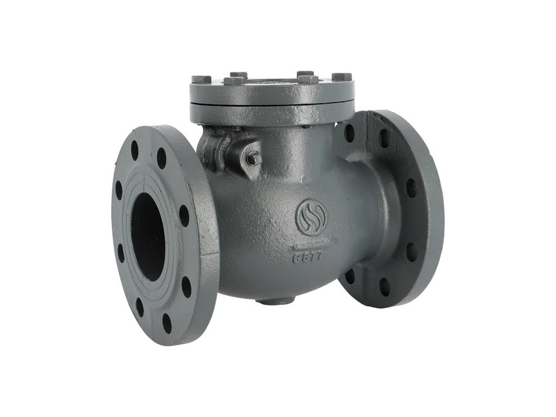 zawor zwrotny CSF60 klapowy metal-metal kolnierz PN16 żeliwny